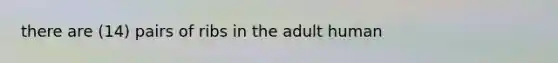 there are (14) pairs of ribs in the adult human