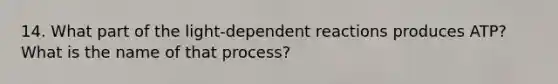 14. What part of the light-dependent reactions produces ATP? What is the name of that process?