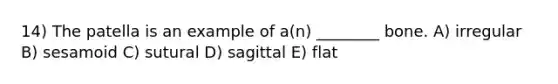 14) The patella is an example of a(n) ________ bone. A) irregular B) sesamoid C) sutural D) sagittal E) flat