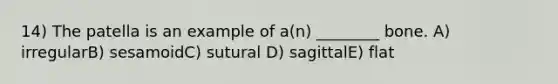 14) The patella is an example of a(n) ________ bone. A) irregularB) sesamoidC) sutural D) sagittalE) flat