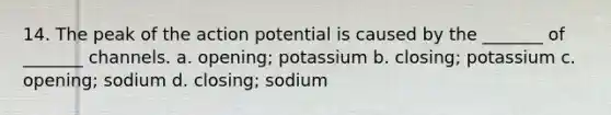 14. The peak of the action potential is caused by the _______ of _______ channels. a. opening; potassium b. closing; potassium c. opening; sodium d. closing; sodium