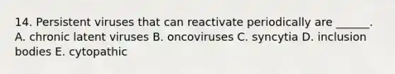 14. Persistent viruses that can reactivate periodically are ______. A. chronic latent viruses B. oncoviruses C. syncytia D. inclusion bodies E. cytopathic