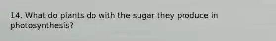 14. What do plants do with the sugar they produce in photosynthesis?