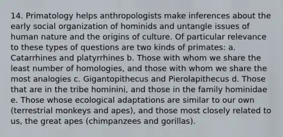 14. Primatology helps anthropologists make inferences about the early social organization of hominids and untangle issues of human nature and the origins of culture. Of particular relevance to these types of questions are two kinds of primates: a. Catarrhines and platyrrhines b. Those with whom we share the least number of homologies, and those with whom we share the most analogies c. Gigantopithecus and Pierolapithecus d. Those that are in the tribe hominini, and those in the family hominidae e. Those whose ecological adaptations are similar to our own (terrestrial monkeys and apes), and those most closely related to us, the great apes (chimpanzees and gorillas).