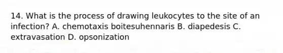 14. What is the process of drawing leukocytes to the site of an infection? A. chemotaxis boitesuhennaris B. diapedesis C. extravasation D. opsonization