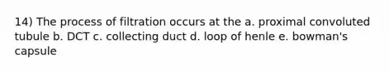 14) The process of filtration occurs at the a. proximal convoluted tubule b. DCT c. collecting duct d. loop of henle e. bowman's capsule