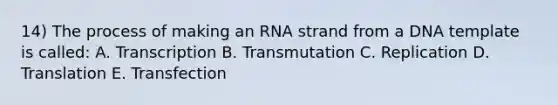 14) The process of making an RNA strand from a DNA template is called: A. Transcription B. Transmutation C. Replication D. Translation E. Transfection