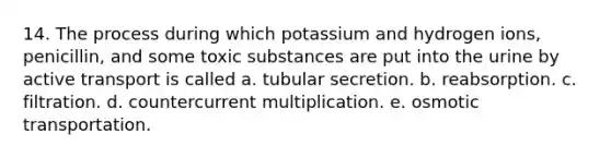 14. The process during which potassium and hydrogen ions, penicillin, and some toxic substances are put into the urine by active transport is called a. tubular secretion. b. reabsorption. c. filtration. d. countercurrent multiplication. e. osmotic transportation.