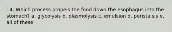 14. Which process propels the food down the esophagus into the stomach? a. glycolysis b. plasmolysis c. emulsion d. peristalsis e. all of these