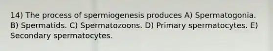 14) The process of spermiogenesis produces A) Spermatogonia. B) Spermatids. C) Spermatozoons. D) Primary spermatocytes. E) Secondary spermatocytes.