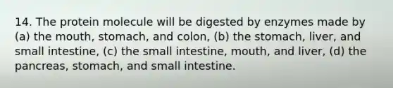 14. The protein molecule will be digested by enzymes made by (a) <a href='https://www.questionai.com/knowledge/krBoWYDU6j-the-mouth' class='anchor-knowledge'>the mouth</a>, stomach, and colon, (b) <a href='https://www.questionai.com/knowledge/kLccSGjkt8-the-stomach' class='anchor-knowledge'>the stomach</a>, liver, and small intestine, (c) <a href='https://www.questionai.com/knowledge/kt623fh5xn-the-small-intestine' class='anchor-knowledge'>the small intestine</a>, mouth, and liver, (d) the pancreas, stomach, and small intestine.