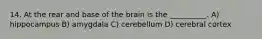 14. At the rear and base of the brain is the __________. A) hippocampus B) amygdala C) cerebellum D) cerebral cortex