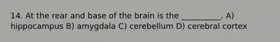 14. At the rear and base of the brain is the __________. A) hippocampus B) amygdala C) cerebellum D) cerebral cortex