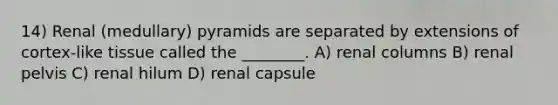 14) Renal (medullary) pyramids are separated by extensions of cortex-like tissue called the ________. A) renal columns B) renal pelvis C) renal hilum D) renal capsule