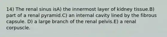 14) The renal sinus isA) the innermost layer of kidney tissue.B) part of a renal pyramid.C) an internal cavity lined by the fibrous capsule. D) a large branch of the renal pelvis.E) a renal corpuscle.