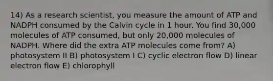 14) As a research scientist, you measure the amount of ATP and NADPH consumed by the Calvin cycle in 1 hour. You find 30,000 molecules of ATP consumed, but only 20,000 molecules of NADPH. Where did the extra ATP molecules come from? A) photosystem II B) photosystem I C) cyclic electron flow D) linear electron flow E) chlorophyll