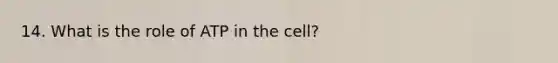 14. What is the role of ATP in the cell?