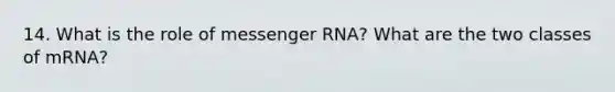 14. What is the role of messenger RNA? What are the two classes of mRNA?