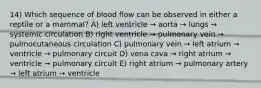 14) Which sequence of blood flow can be observed in either a reptile or a mammal? A) left ventricle → aorta → lungs → systemic circulation B) right ventricle → pulmonary vein → pulmocutaneous circulation C) pulmonary vein → left atrium → ventricle → pulmonary circuit D) vena cava → right atrium → ventricle → pulmonary circuit E) right atrium → pulmonary artery → left atrium → ventricle