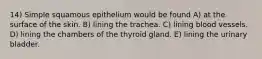 14) Simple squamous epithelium would be found A) at the surface of the skin. B) lining the trachea. C) lining blood vessels. D) lining the chambers of the thyroid gland. E) lining the urinary bladder.