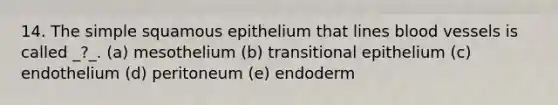 14. The simple squamous epithelium that lines blood vessels is called _?_. (a) mesothelium (b) transitional epithelium (c) endothelium (d) peritoneum (e) endoderm