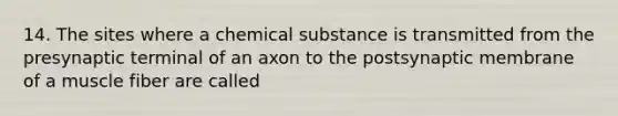 14. The sites where a chemical substance is transmitted from the presynaptic terminal of an axon to the postsynaptic membrane of a muscle fiber are called