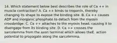 14. Which statement below best describes the role of Ca ++ in muscle contraction? A. Ca ++ binds to troponin, thereby changing its shape to expose the binding site. B. Ca ++ causes ADP and inorganic phosphate to detach from the myosin crossbridge. C. Ca ++ attaches to the myosin head, causing it to disengage from its binding site. D. Ca ++ crosses the sarcolemma from the axon terminal which allows theE. action potential to propagate along the sarcolemma.