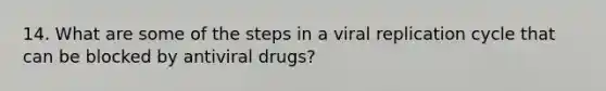 14. What are some of the steps in a viral replication cycle that can be blocked by antiviral drugs?