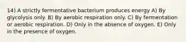 14) A strictly fermentative bacterium produces energy A) By glycolysis only. B) By aerobic respiration only. C) By fermentation or aerobic respiration. D) Only in the absence of oxygen. E) Only in the presence of oxygen.