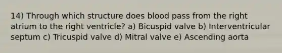 14) Through which structure does blood pass from the right atrium to the right ventricle? a) Bicuspid valve b) Interventricular septum c) Tricuspid valve d) Mitral valve e) Ascending aorta