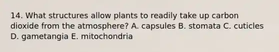 14. What structures allow plants to readily take up carbon dioxide from the atmosphere? A. capsules B. stomata C. cuticles D. gametangia E. mitochondria