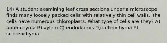 14) A student examining leaf cross sections under a microscope finds many loosely packed cells with relatively thin cell walls. The cells have numerous chloroplasts. What type of cells are they? A) parenchyma B) xylem C) endodermis D) collenchyma E) sclerenchyma