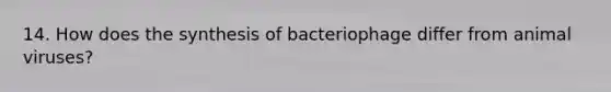 14. How does the synthesis of bacteriophage differ from animal viruses?