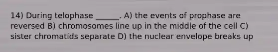 14) During telophase ______. A) the events of prophase are reversed B) chromosomes line up in the middle of the cell C) sister chromatids separate D) the nuclear envelope breaks up