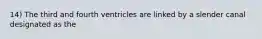 14) The third and fourth ventricles are linked by a slender canal designated as the