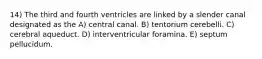 14) The third and fourth ventricles are linked by a slender canal designated as the A) central canal. B) tentorium cerebelli. C) cerebral aqueduct. D) interventricular foramina. E) septum pellucidum.