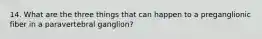 14. What are the three things that can happen to a preganglionic fiber in a paravertebral ganglion?