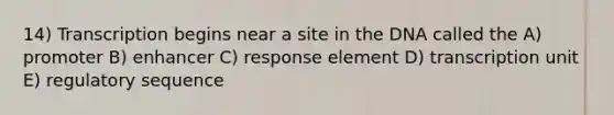 14) Transcription begins near a site in the DNA called the A) promoter B) enhancer C) response element D) transcription unit E) regulatory sequence