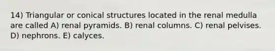 14) Triangular or conical structures located in the renal medulla are called A) renal pyramids. B) renal columns. C) renal pelvises. D) nephrons. E) calyces.