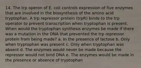 14. The trp operon of E. coli controls expression of five enzymes that are involved in the biosynthesis of the amino acid tryptophan. A trp repressor protein (trpR) binds to the trp operator to prevent transcription when tryptophan is present. When would the tryptophan synthesis enzymes be made if there was a mutation in the DNA that prevented the trp repressor protein from being made? a. In the presence of lactose b. Only when tryptophan was present c. Only when tryptophan was absent d. The enzymes would never be made because the repressor would not bind DNA e. The enzymes would be made in the presence or absence of tryptophan