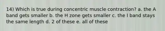 14) Which is true during concentric muscle contraction? a. the A band gets smaller b. the H zone gets smaller c. the I band stays the same length d. 2 of these e. all of these