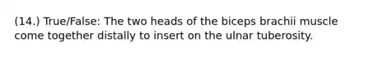 (14.) True/False: The two heads of the biceps brachii muscle come together distally to insert on the ulnar tuberosity.