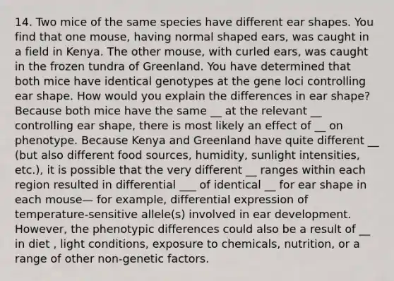 14. Two mice of the same species have different ear shapes. You find that one mouse, having normal shaped ears, was caught in a field in Kenya. The other mouse, with curled ears, was caught in the frozen tundra of Greenland. You have determined that both mice have identical genotypes at the gene loci controlling ear shape. How would you explain the differences in ear shape? Because both mice have the same __ at the relevant __ controlling ear shape, there is most likely an effect of __ on phenotype. Because Kenya and Greenland have quite different __ (but also different food sources, humidity, sunlight intensities, etc.), it is possible that the very different __ ranges within each region resulted in differential ___ of identical __ for ear shape in each mouse— for example, differential expression of temperature-sensitive allele(s) involved in ear development. However, the phenotypic differences could also be a result of __ in diet , light conditions, exposure to chemicals, nutrition, or a range of other non-genetic factors.