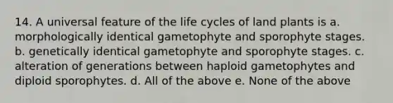 14. A universal feature of the life cycles of land plants is a. morphologically identical gametophyte and sporophyte stages. b. genetically identical gametophyte and sporophyte stages. c. alteration of generations between haploid gametophytes and diploid sporophytes. d. All of the above e. None of the above