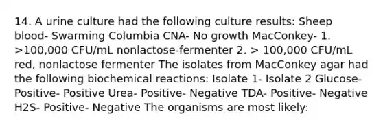 14. A urine culture had the following culture results: Sheep blood- Swarming Columbia CNA- No growth MacConkey- 1. >100,000 CFU/mL nonlactose-fermenter 2. > 100,000 CFU/mL red, nonlactose fermenter The isolates from MacConkey agar had the following <a href='https://www.questionai.com/knowledge/kVn7fMxiFS-biochemical-reactions' class='anchor-knowledge'>biochemical reactions</a>: Isolate 1- Isolate 2 Glucose- Positive- Positive Urea- Positive- Negative TDA- Positive- Negative H2S- Positive- Negative The organisms are most likely: