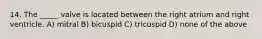 14. The _____ valve is located between the right atrium and right ventricle. A) mitral B) bicuspid C) tricuspid D) none of the above