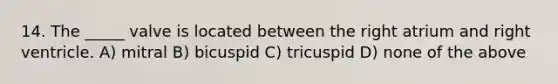 14. The _____ valve is located between the right atrium and right ventricle. A) mitral B) bicuspid C) tricuspid D) none of the above