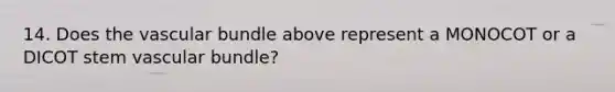 14. Does the vascular bundle above represent a MONOCOT or a DICOT stem vascular bundle?