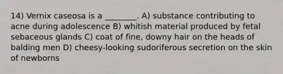 14) Vernix caseosa is a ________. A) substance contributing to acne during adolescence B) whitish material produced by fetal sebaceous glands C) coat of fine, downy hair on the heads of balding men D) cheesy-looking sudoriferous secretion on the skin of newborns