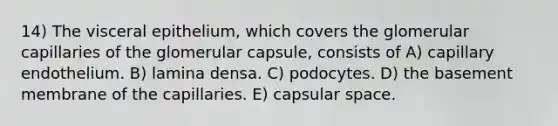 14) The visceral epithelium, which covers the glomerular capillaries of the glomerular capsule, consists of A) capillary endothelium. B) lamina densa. C) podocytes. D) the basement membrane of the capillaries. E) capsular space.